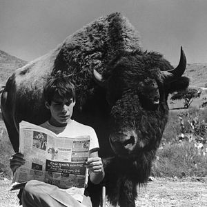 Photo Bless the beasts and children
