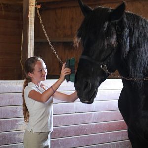 Photo Alexis Rosinsky