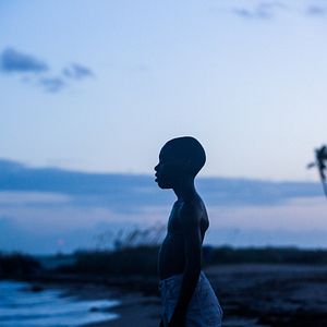 Photo Alex R. Hibbert