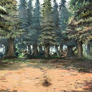 Photo Le Chasseur d'Arbres Géants