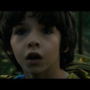 Photo Dans La Forêt