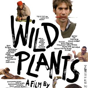 Photo Wild Plants