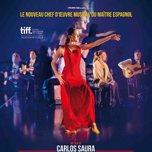 Photo Beyond Flamenco