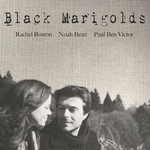 Photo Black Marigolds