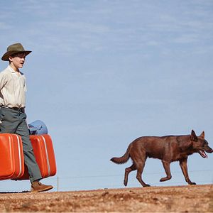 Photo Blue, mon Chien d'Australie