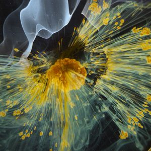 Photo Voyage of Time : Au fil de la vie