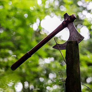 Photo Viking : la fureur des dieux