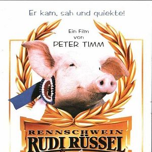 Photo Rudi, le petit cochon