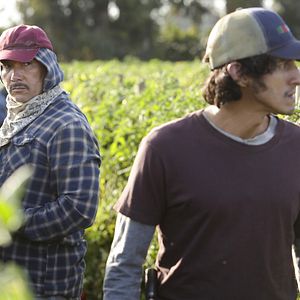 Photo Benito Martinez