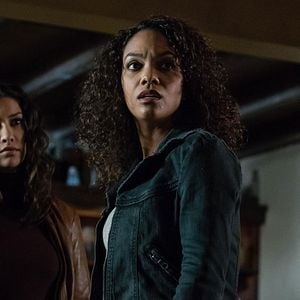 Photo Janina Gavankar