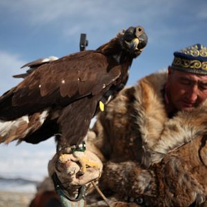 Photo La jeune fille et son aigle