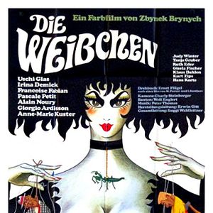 Photo Die Weibchen