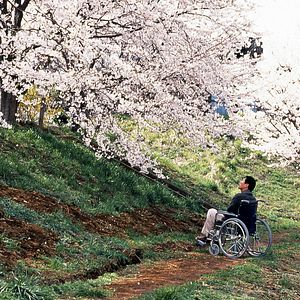 Photo Hana-Bi