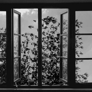 Photo 24 Frames