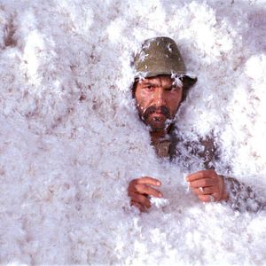 Photo J'ai même rencontré des tziganes heureux