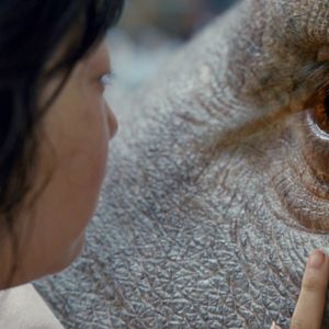 Photo Okja