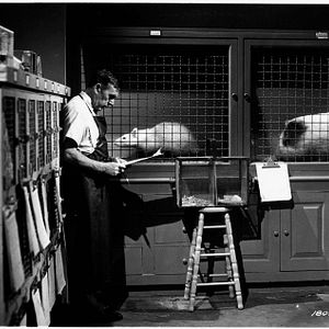 Photo Leo G. Carroll