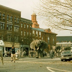 Photo Jumanji