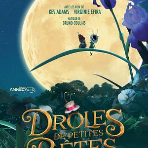 Photo Drôles de petites bêtes