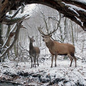 Photo Corps et âme