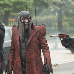 Photo The Tick