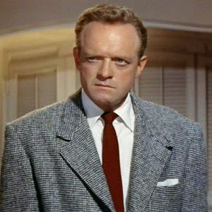 Photo La veuve noire