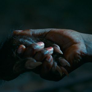 Photo Les Bonnes Manières