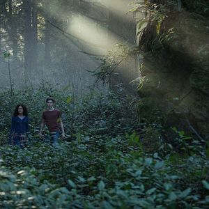 Photo Levi Miller (II)