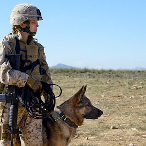 Photo Megan Leavey
