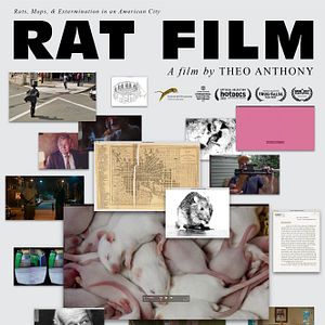 Photo Rat Film