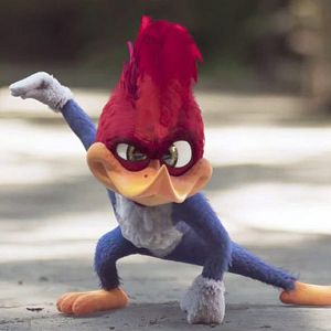 Photo Woody Woodpecker