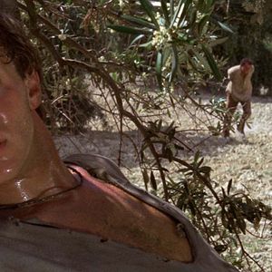 Photo Robert Shaw
