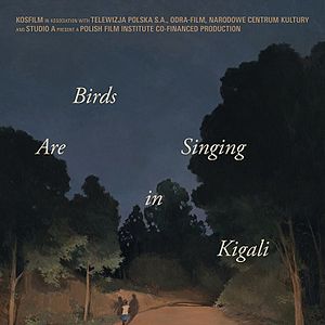 Photo Birds Are Singing in Kigali