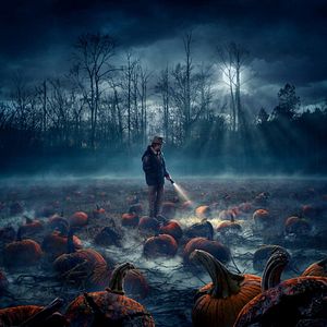 Photo Stranger Things