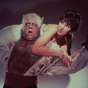 Photo La Nuit du loup-garou