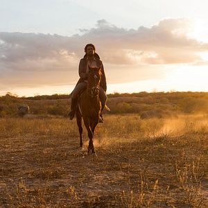 Photo Diogo Morgado