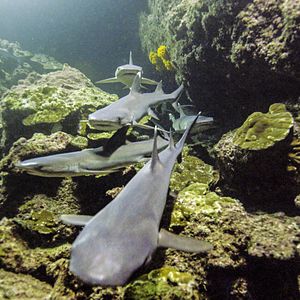 Photo Un nouveau jour sur Terre