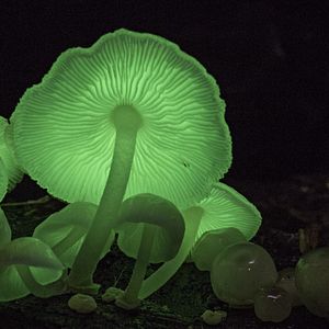 Photo Un nouveau jour sur Terre