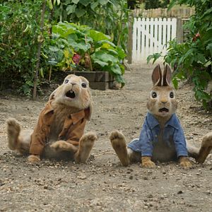 Photo Pierre Lapin
