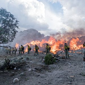 Photo Line of Fire