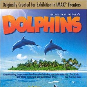 Photo Dolphins
