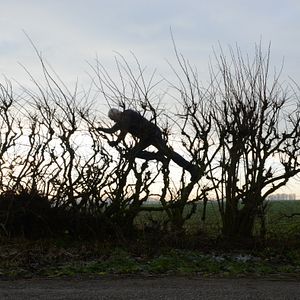 Photo Penché dans le vent