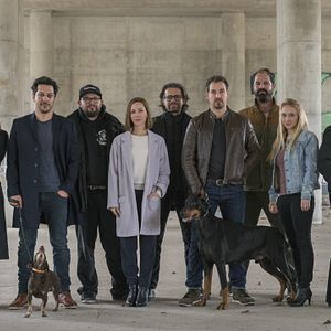 Photo Dogs Of Berlin