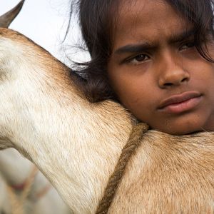 Photo Village Rockstars