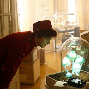 Photo Thomas Solivérès