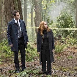 Photo David Duchovny