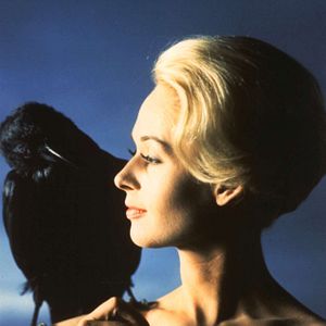 Photo Tippi Hedren