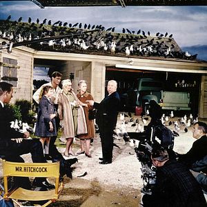 Photo Les Oiseaux