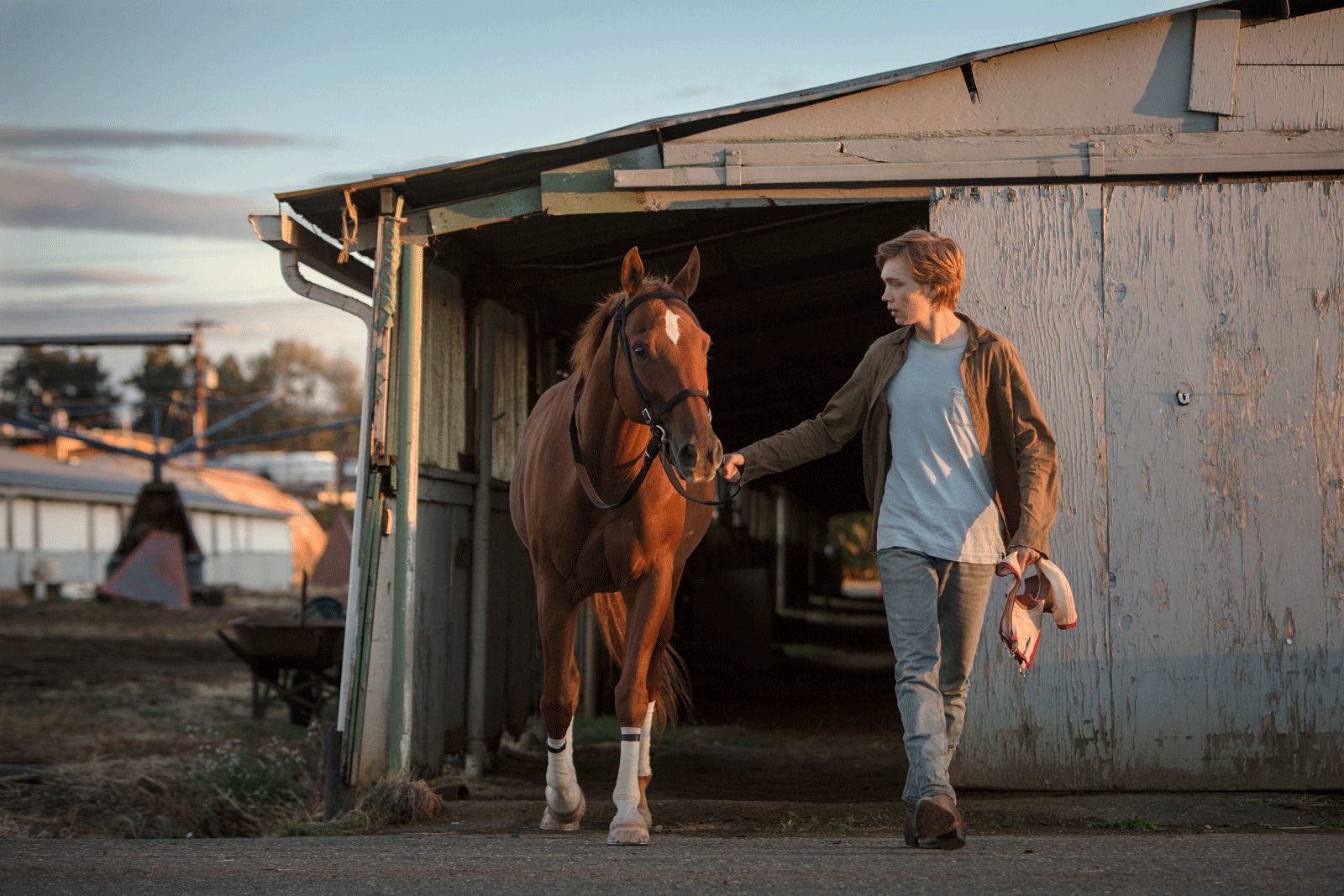 Photo La Route sauvage (Lean on Pete)