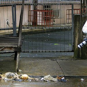 Photo Hondros